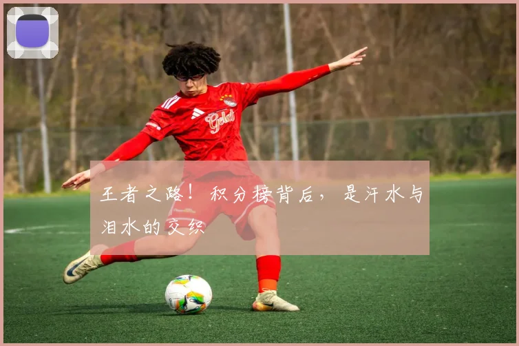 王者之路！积分榜背后，是汗水与泪水的交织