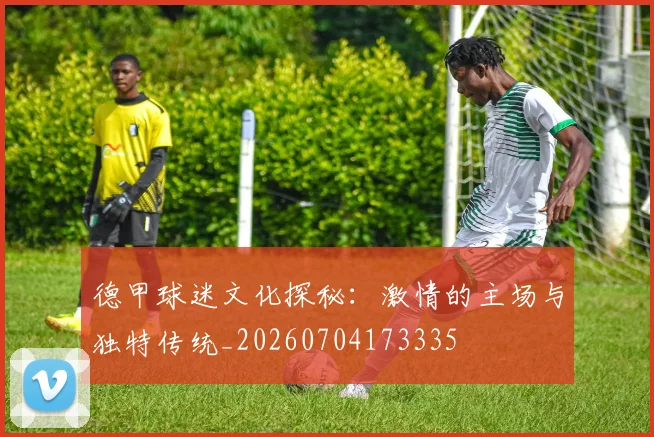 德甲球迷文化探秘：激情的主场与独特传统_20260704173335