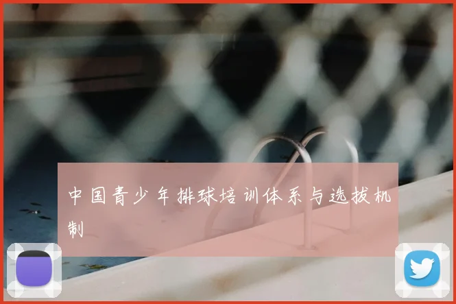 中国青少年排球培训体系与选拔机制