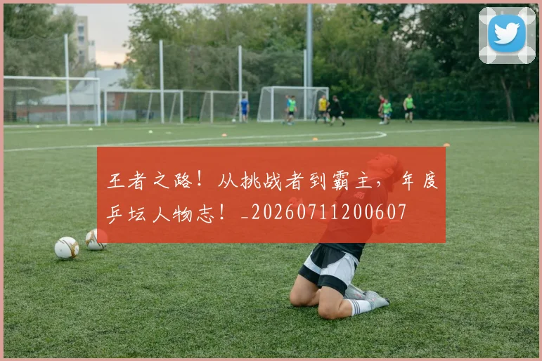 王者之路!从挑战者到霸主,年度乒坛人物志!_20260711200607