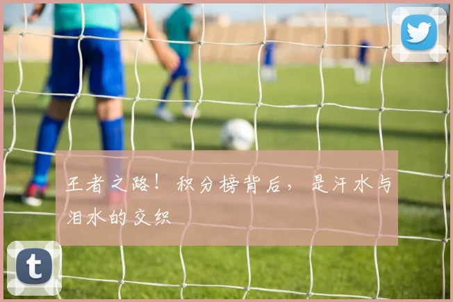 王者之路!积分榜背后,是汗水与泪水的交织